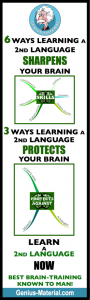 Second Language - First Priority - infographic