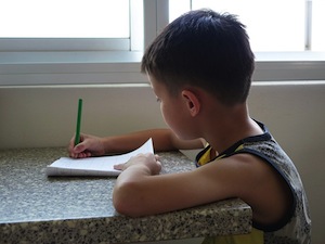 7 Tips for successful revision - photo of boy doing homework