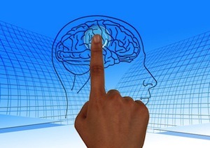 long-term memory, short-sighted strategy. Photo of brain and finger prodding it
