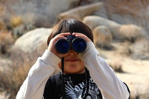 How to make a good decision - photo of someone with binoculars